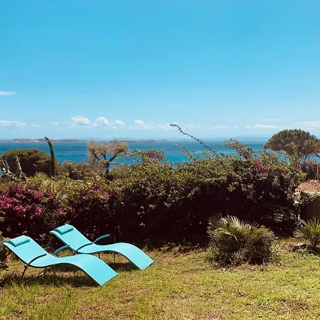 8 Arbousiers 13 * Bonifacio (Corsica)